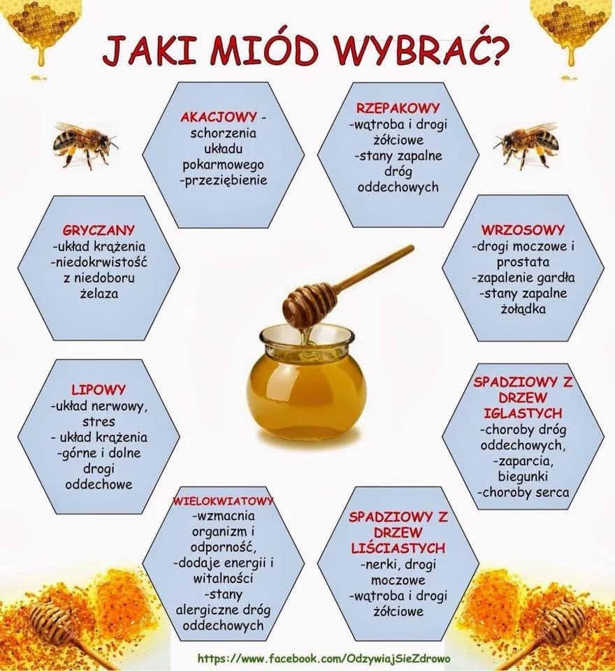 Który miód jest najzdrowszy? Porównanie właściwości i korzyści dla zdrowia