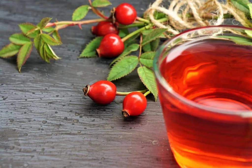 Sok z dzikiej róży na co pomaga? Właściwości zdrowotne i korzyści dla organizmu