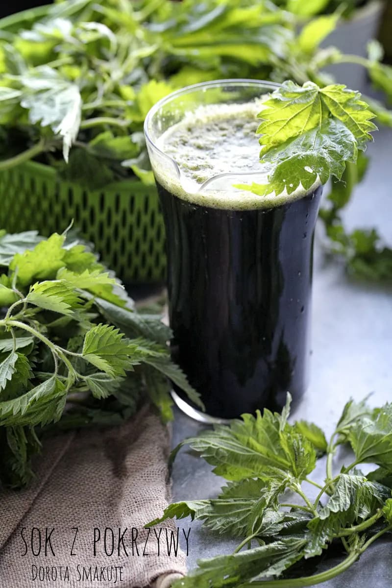 Jak zrobić sok z pokrzyw? Prosty przepis i korzyści dla zdrowia