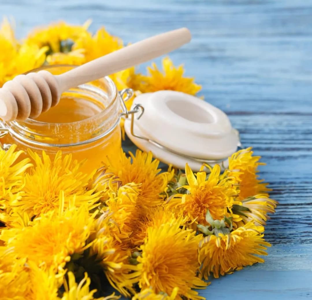 Miód z mniszka lekarskiego na co pomaga? Właściwości i zastosowania dla zdrowia